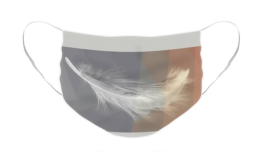 Feathers Face Mask featuring the photograph Feather Interrupted by Rene Crystal