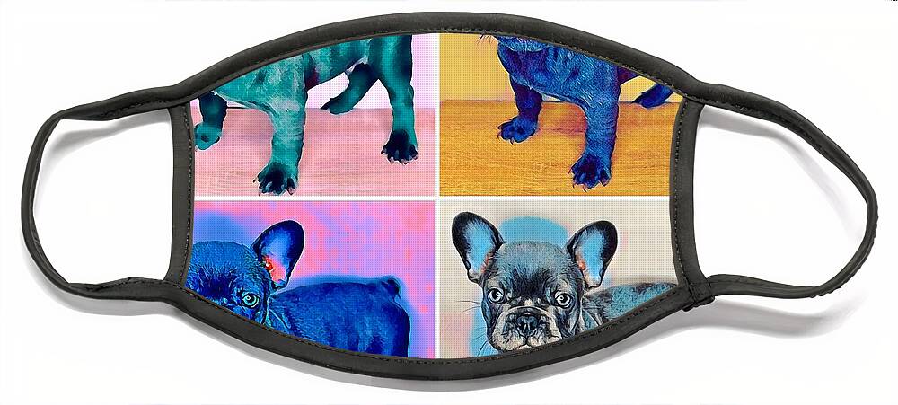 Blue French Bulldog. Frenchie. Dog. Pet. Animals. Face Mask featuring the photograph Feeling Bully by Denise Railey