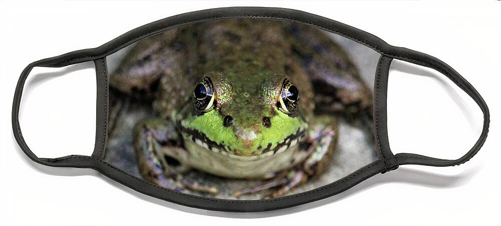 Frog Face Mask featuring the photograph Feeling Froggy by Shana Rowe Jackson