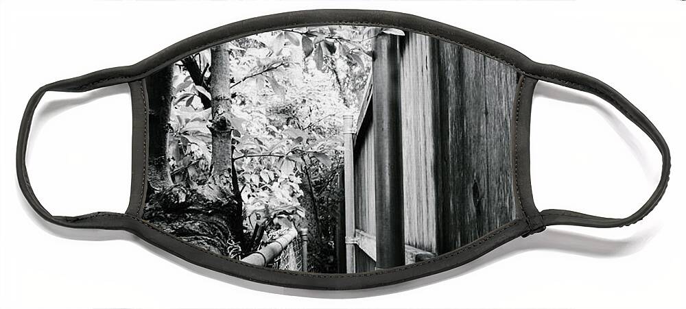 Fences Face Mask featuring the photograph Fence Eating Tree by W Craig Photography