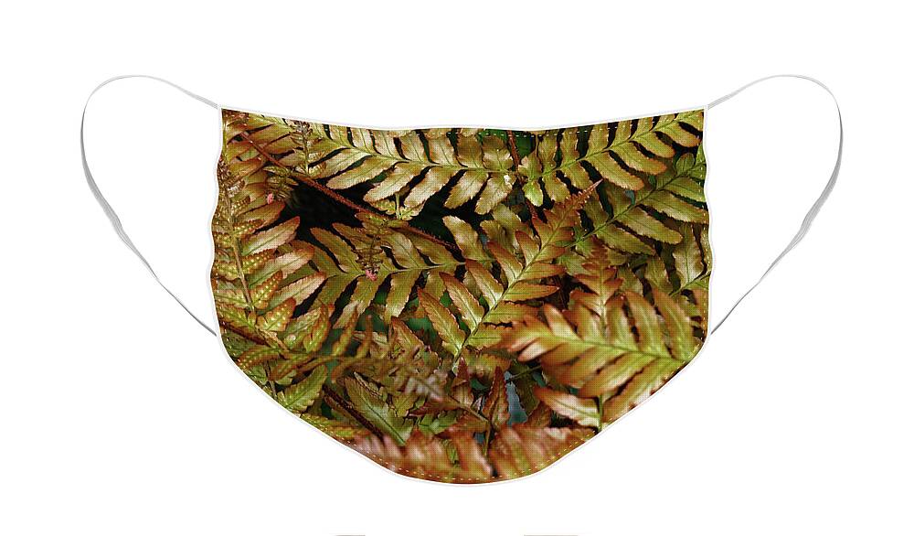Fern Face Mask featuring the photograph Fern Fronds by Jeff Townsend