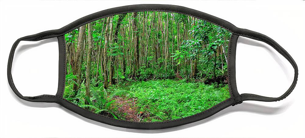 Rainforest Face Mask featuring the photograph Ferns in the rainforest in Guam. by Rich Cruse