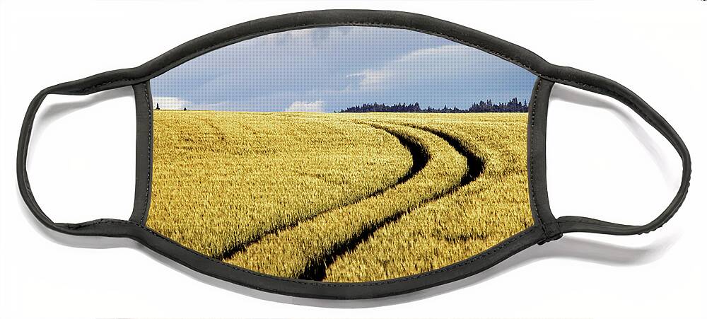 Landscapes Face Mask featuring the photograph Field of Dreams by The Walkers