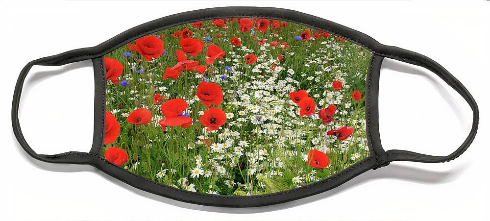 70032388 Face Mask featuring the photograph Field of Red Poppies by Willi Rolfes