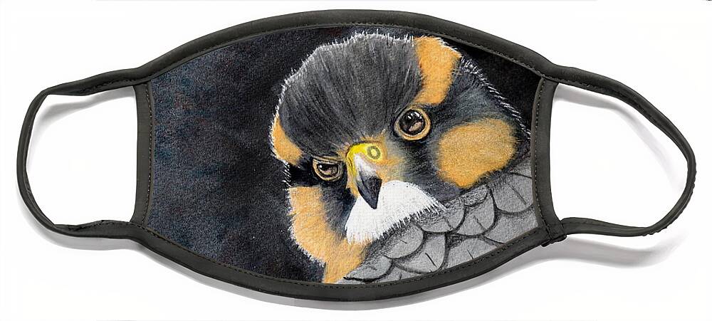 Bird Face Mask featuring the painting Fierce Little Falcon Watercolor by Kimberly Walker