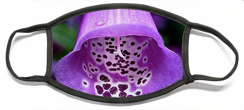 Fox Glove Face Mask featuring the photograph Fine Foxglove by Penny Lisowski