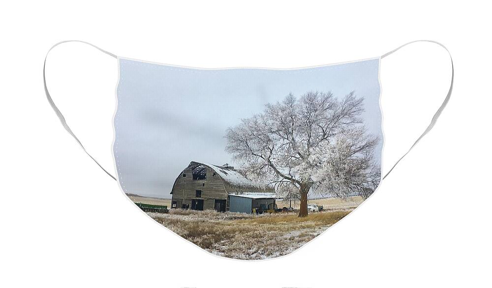 Snow Face Mask featuring the photograph First Snow by Jerry Abbott