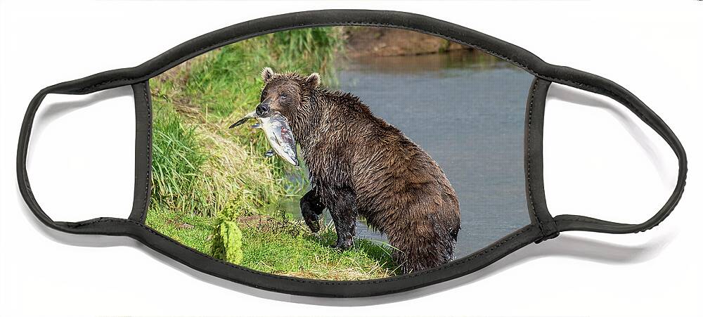 Bear Face Mask featuring the photograph Fishing brown bear with salmon by Mikhail Kokhanchikov