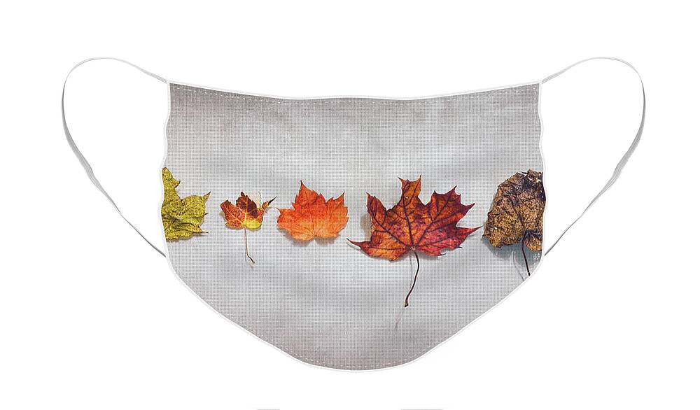 Autumn Face Mask featuring the photograph Five Autumn Leaves by Scott Norris