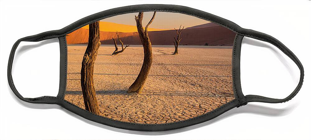 Camel Thorn Trees Face Mask featuring the photograph Five Graces by Peter Boehringer