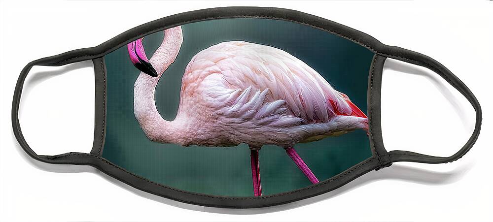 Birds Face Mask featuring the photograph Flamingo Artistry by DB Hayes