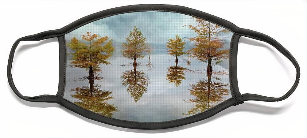 Tree Face Mask featuring the photograph Floating into Autumn Mist by Debra and Dave Vanderlaan