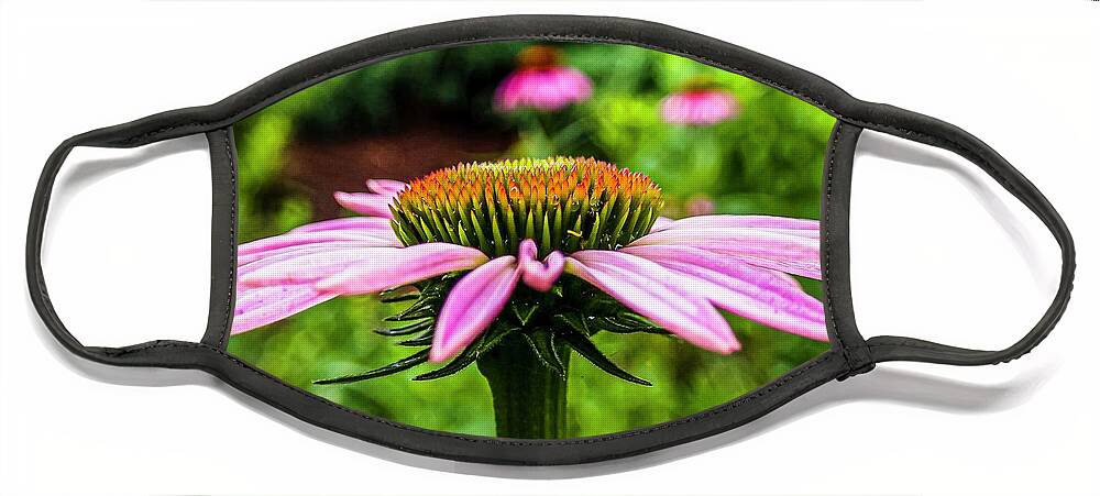 Flower Face Mask featuring the photograph Flower after the rain by Rick Nelson