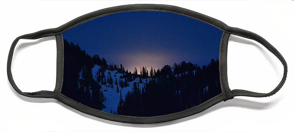 Full Moon Face Mask featuring the photograph Flower Full Moon #1 by Dorrene BrownButterfield