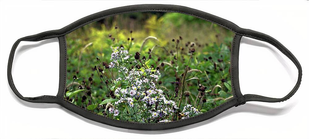 Flowers Face Mask featuring the photograph Flowers at the End of Summer by Christopher Reed