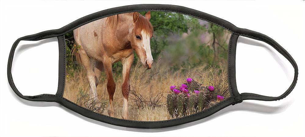Yearling Face Mask featuring the photograph Flowers by Shannon Hastings
