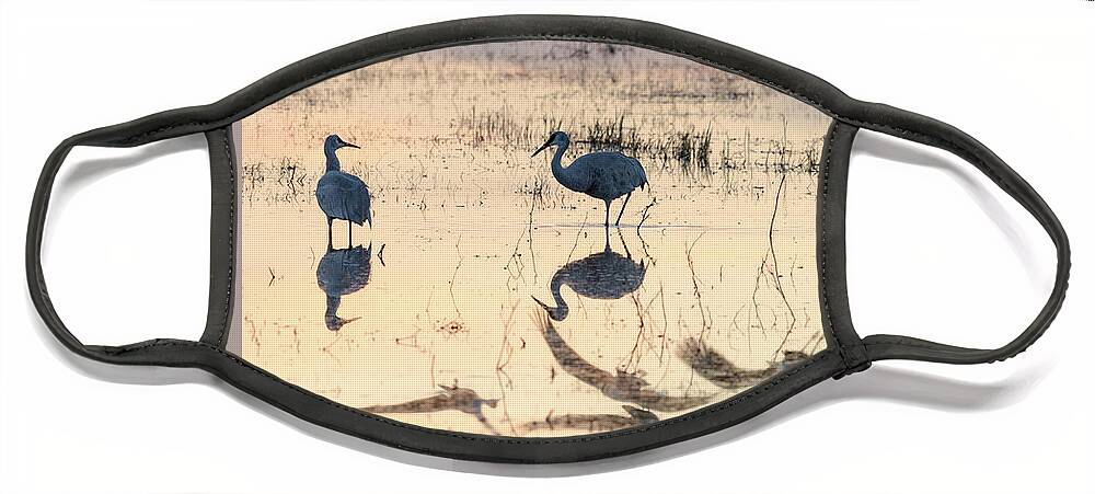 Bosque Del Apache Face Mask featuring the photograph Fly By by Maresa Pryor-Luzier