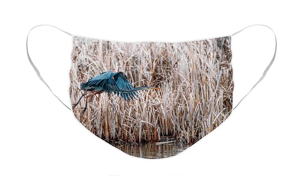 Blue Heron Face Mask featuring the photograph Fly Heron Fly by Pamela Dunn-Parrish