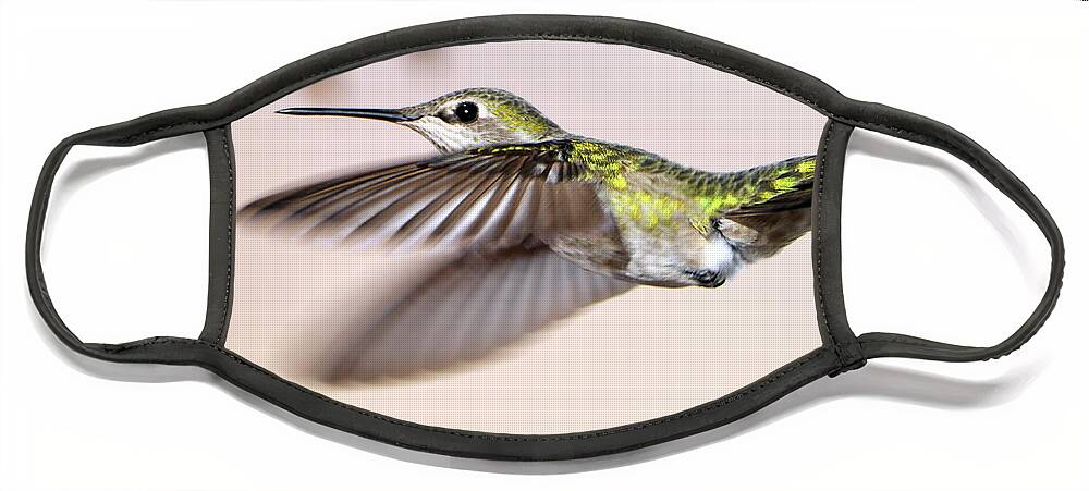 Denise Bruchman Photography Face Mask featuring the photograph Flying Anna's Hummingbird by Denise Bruchman