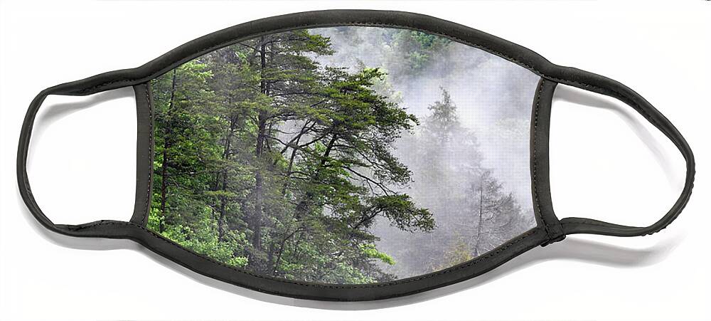 Fall Creek Falls Face Mask featuring the photograph Fog In Valley 2 by Phil Perkins