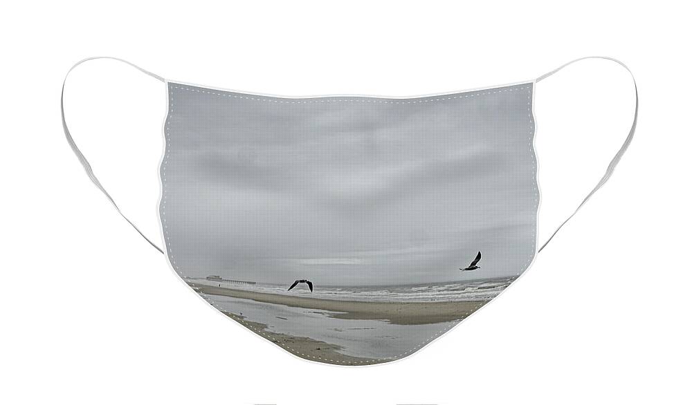 Gulf Shore Face Mask featuring the photograph Foggy Beach by Linda Lee Hall