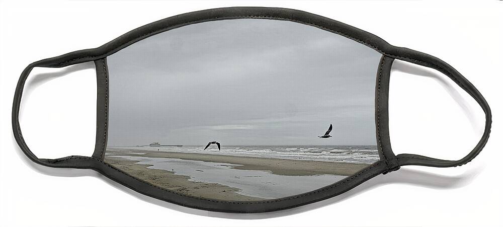 Gulf Shore Face Mask featuring the photograph Foggy Beach by Linda Lee Hall