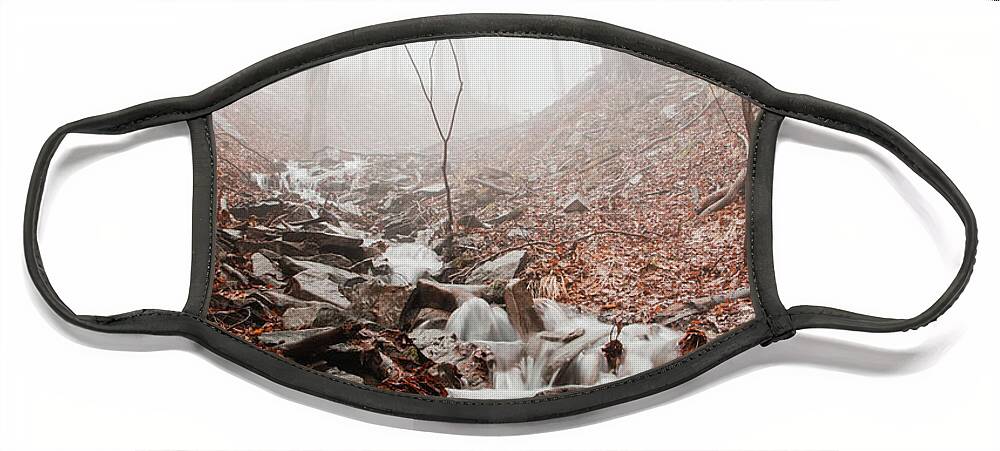 Foggy Face Mask featuring the photograph Foggy morning in a deciduous forest by Vaclav Sonnek