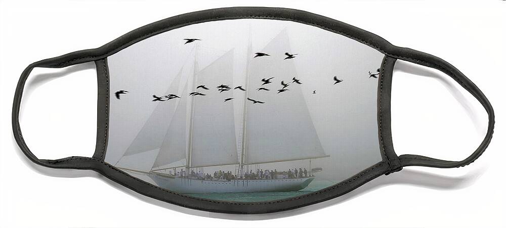 Schooner Face Mask featuring the photograph Foggy Schooner with Birds by Bonnie Follett