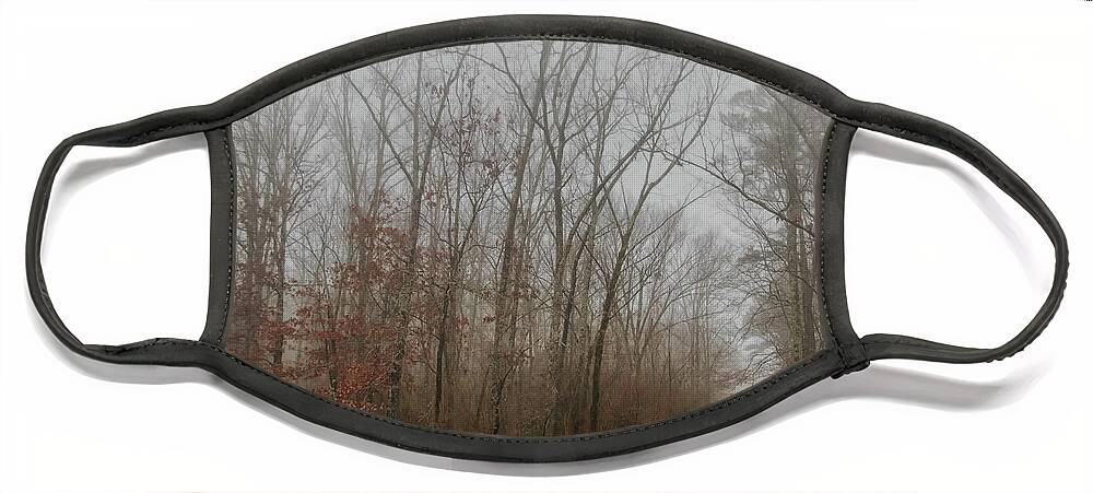 Tree Face Mask featuring the photograph Foggy Winter Morning by Elaine Malott