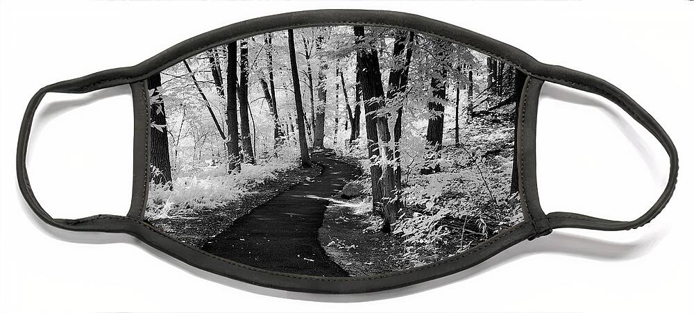 B&w Face Mask featuring the photograph Forbidden Forest by Anthony Sacco