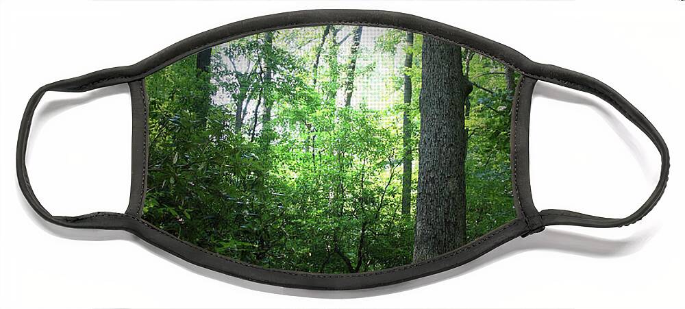 Green Face Mask featuring the photograph Forest 6983 by Carolyn Stagger Cokley