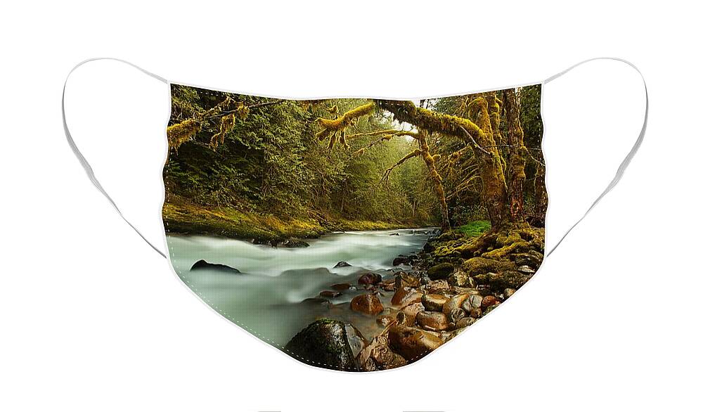 Forest Creek Face Mask featuring the photograph Forest Creek by Gallery Of Modern Art
