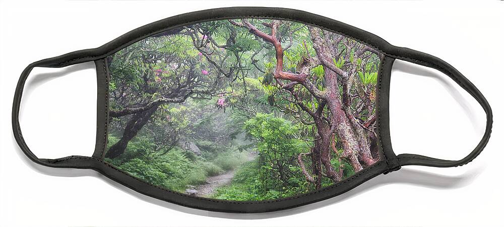 Craggy Gardens Face Mask featuring the photograph Forest Fantasy by Blaine Owens