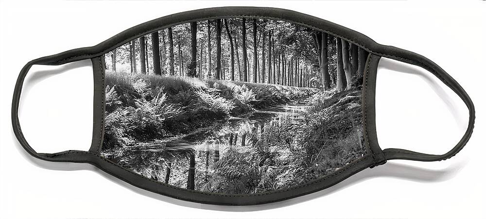 Black&white Face Mask featuring the photograph Forest by MPhotographer