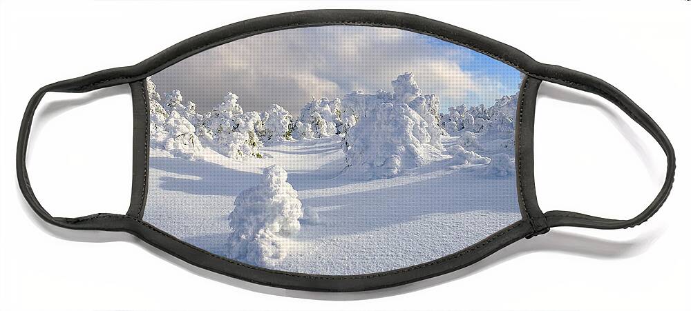 New Hampshire Face Mask featuring the photograph Rime and Shadow. by Jeff Sinon