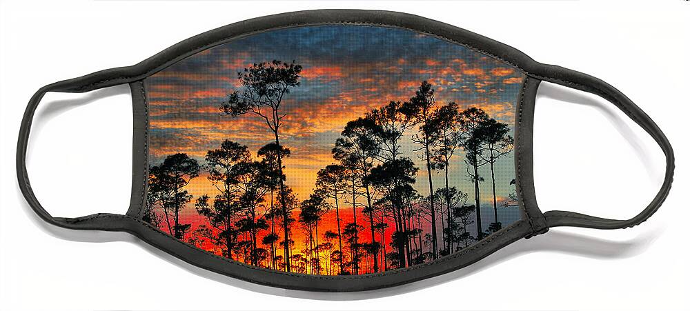 Sunset Face Mask featuring the photograph Forrest Sunset by Montez Kerr