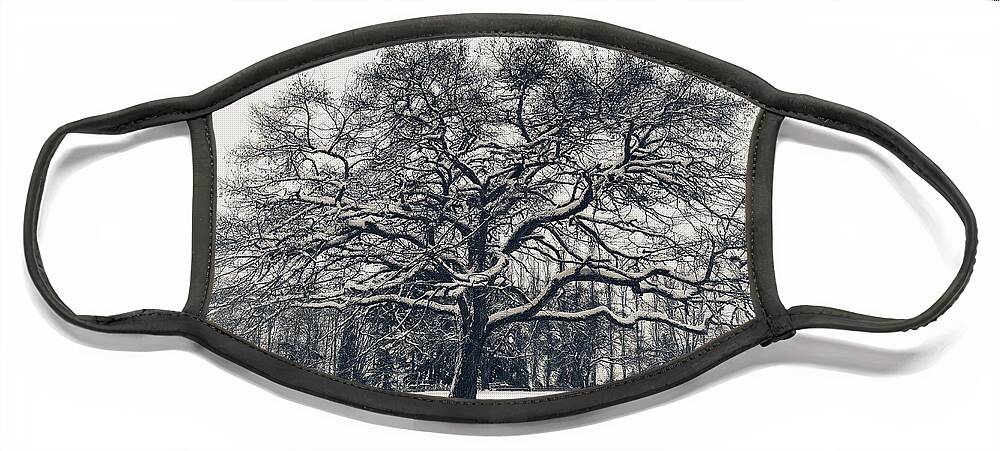 Snow Face Mask featuring the photograph Fresh Snow in Tree BW by Jerry Abbott