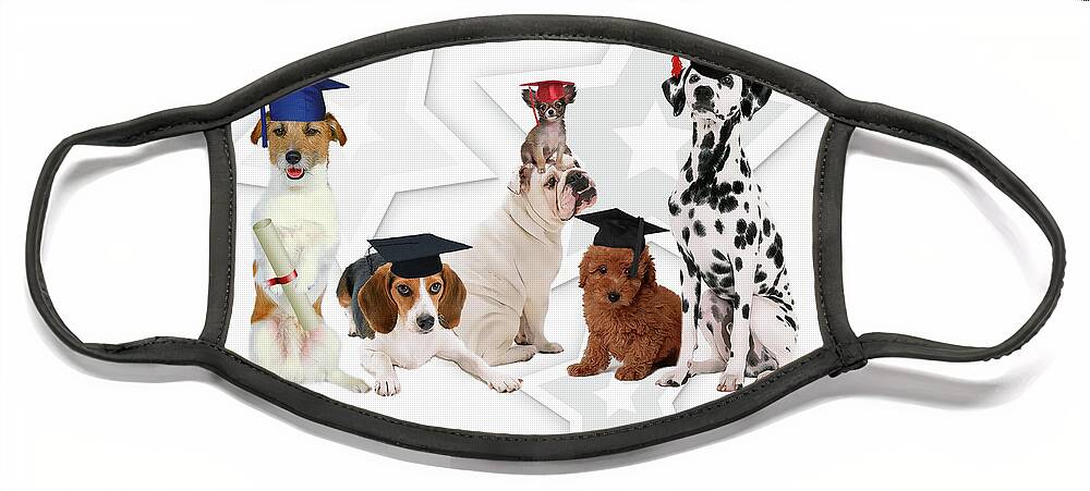 Graduation Face Mask featuring the digital art Funny Graduating Dogs by Doreen Erhardt