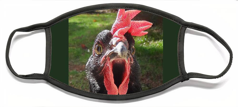Hen Face Mask featuring the photograph Funny Hen by Joelle Philibert