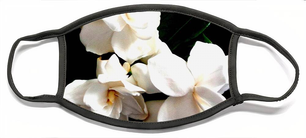 Gardenia Face Mask featuring the photograph Gardenia Bouquet - Framed by VIVA Anderson
