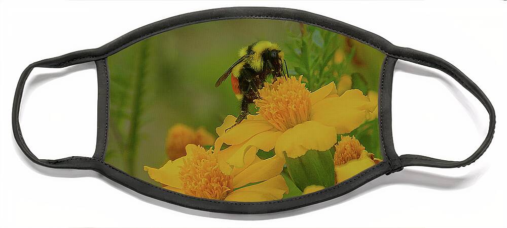 Bee Face Mask featuring the photograph Happiness by Laura Putman