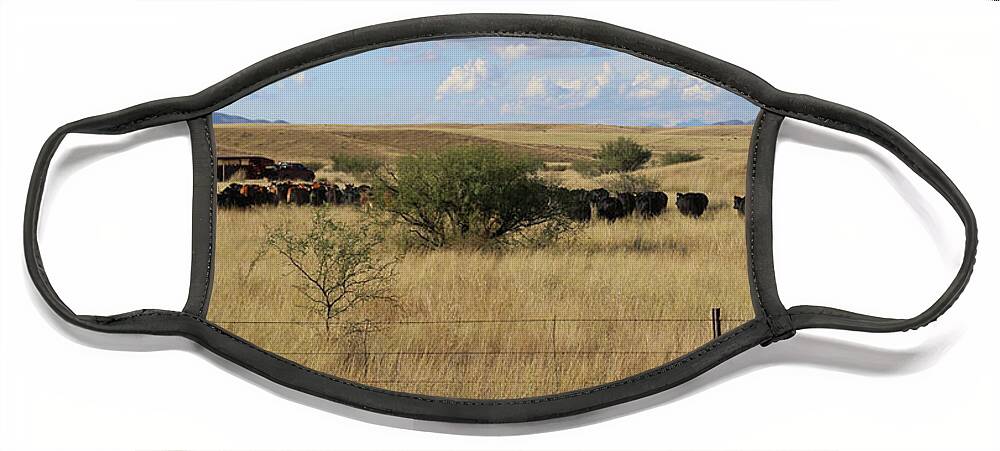 Fine Art Face Mask featuring the photograph Gathering the Herd I by Robert Harris