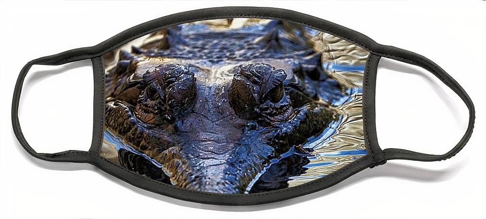 Gharial Face Mask featuring the photograph Gharial Lurking by Rene Vasquez