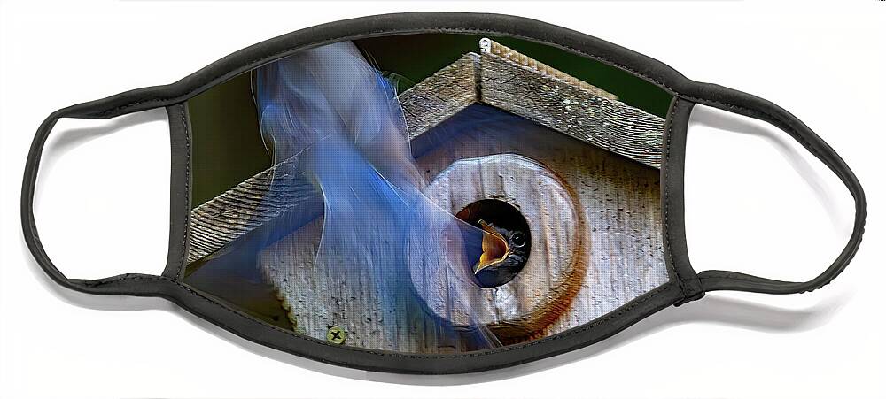 Bluebird Face Mask featuring the photograph Ghost Feeder by Gina Fitzhugh