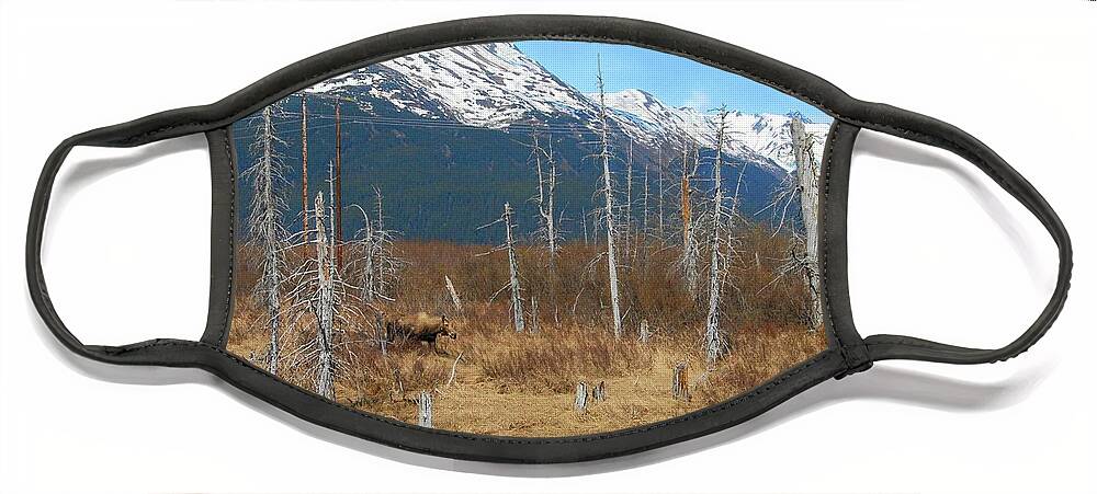 Ghost Forest Face Mask featuring the photograph Ghost Forest - Girdwood by Dyle Warren