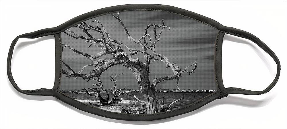Monochrome Face Mask featuring the photograph Ghost Tree by Stephen Sloan
