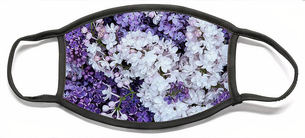 Face Mask Face Mask featuring the photograph Glorious Lilacs by Theresa Tahara