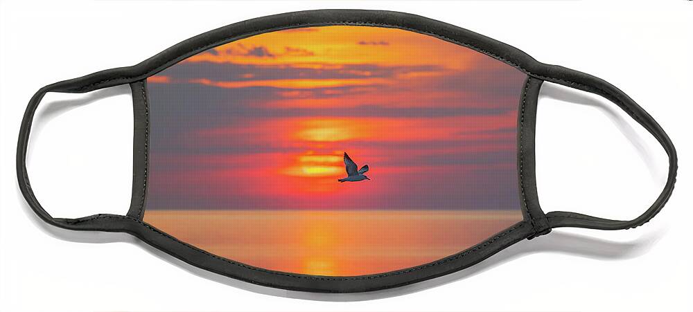 Gull Face Mask featuring the photograph Glorious Sunrise by Sean Mills