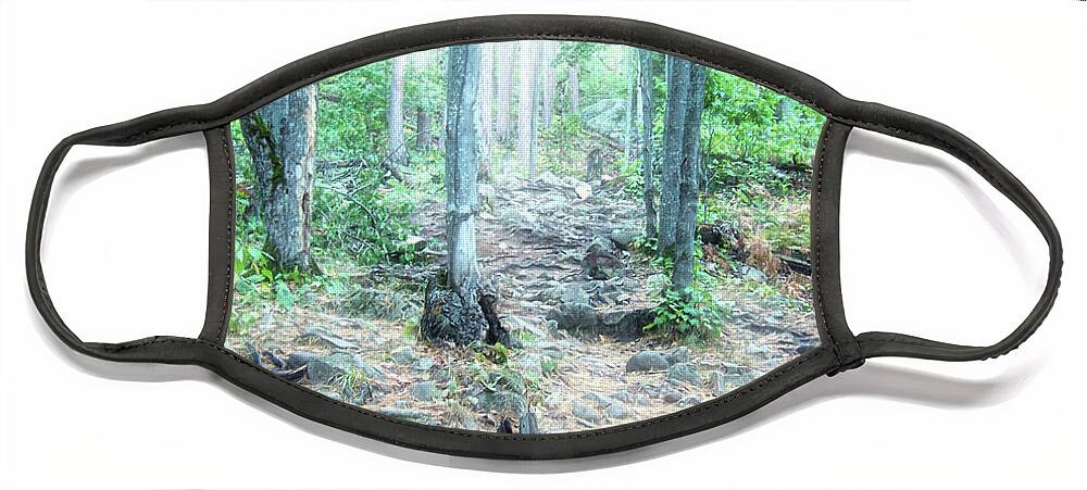 Sugarloaf Mountain Face Mask featuring the photograph Glowing Forest Trail by Phil Perkins