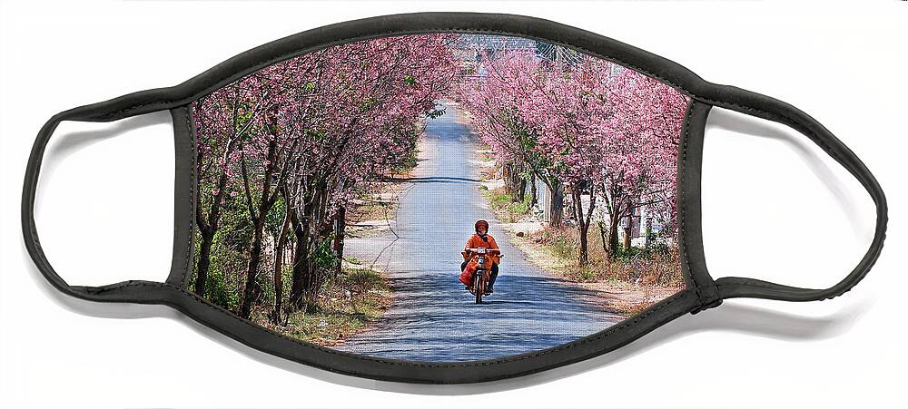 Spring Face Mask featuring the photograph Going Springtime by Khanh Bui Phu